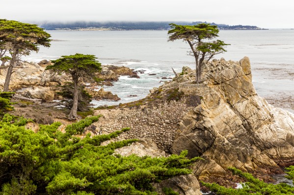 Lone Cypress at Pebble Beach 1513  Print